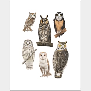 A Parliament Of Owls Posters and Art